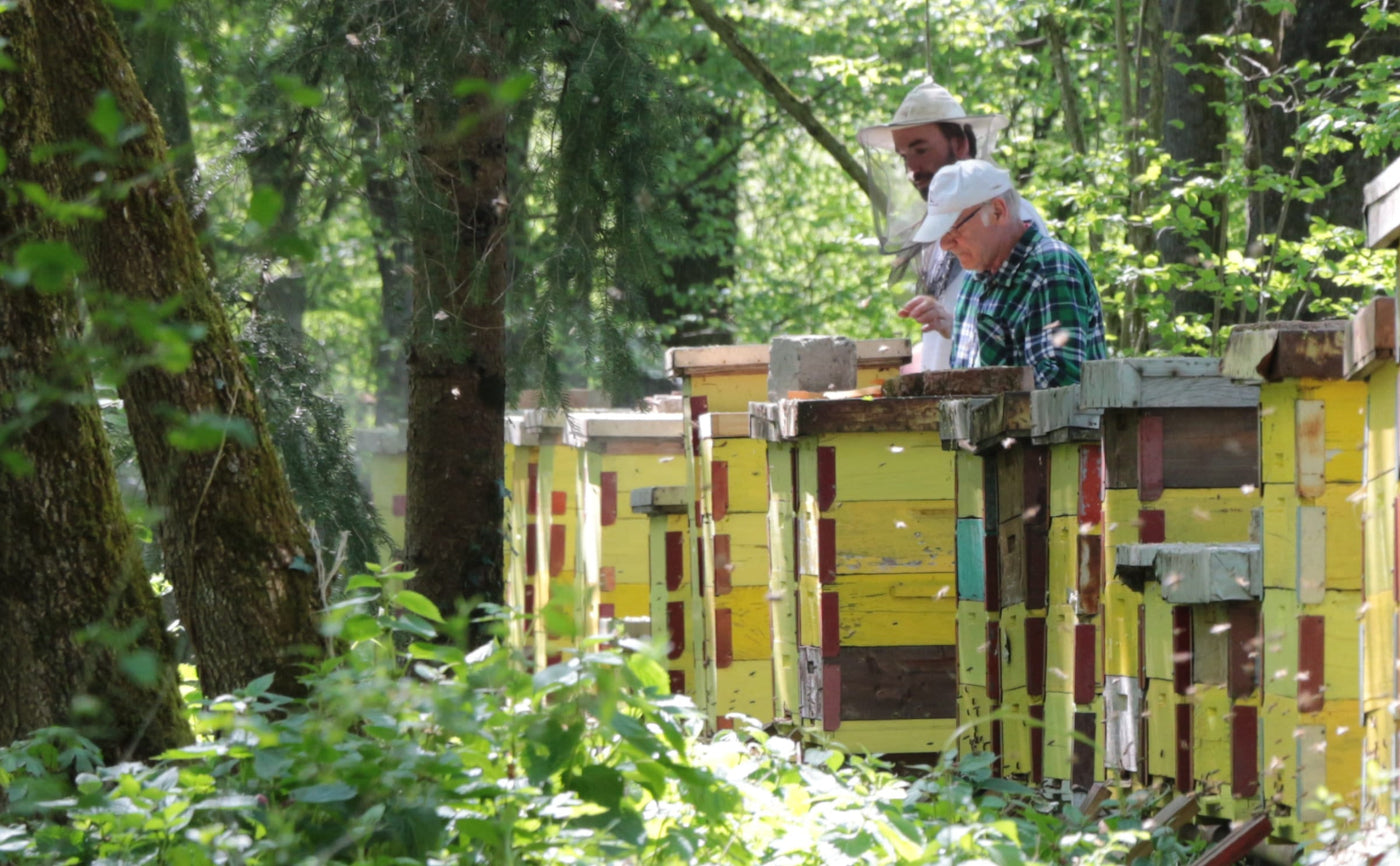 beekepers-medium